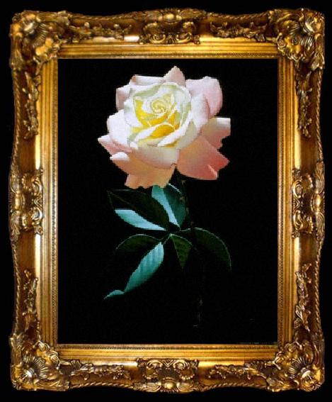 framed  unknow artist Still life floral, all kinds of reality flowers oil painting 47, ta009-2